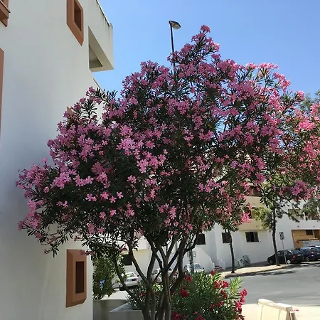 דירה Lovely Beach Bellavista