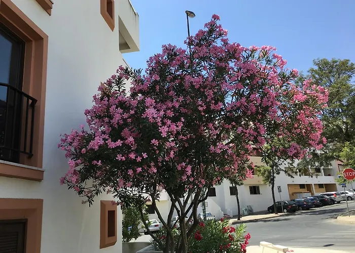 Lägenhet Lovely Beach Bellavista